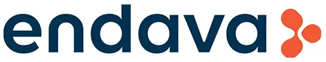 Endava_silver